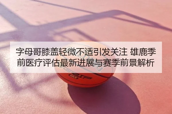 字母哥膝盖轻微不适引发关注 雄鹿季前医疗评估最新进展与赛季前景解析